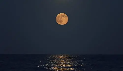 今晚的月色真美下一句,月色真美下一句图3