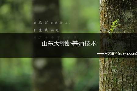 山东大棚虾养殖技术(大棚对虾怎么养殖)