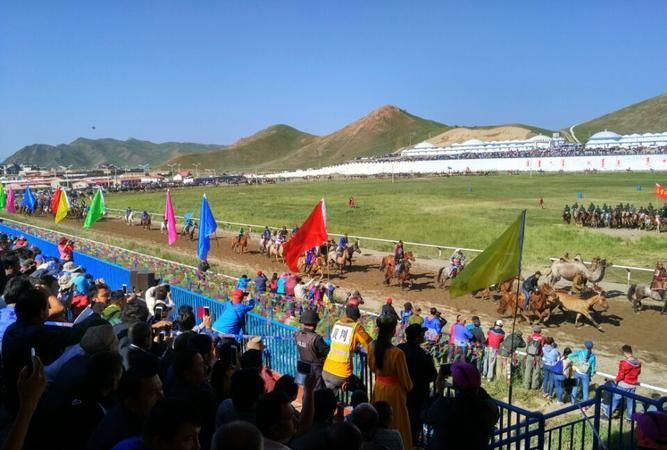 赛马节是什么族的节日