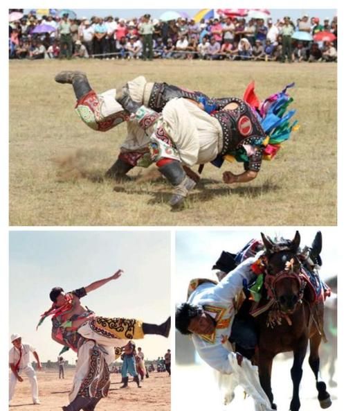那达慕大会是哪个民族风俗习惯啊