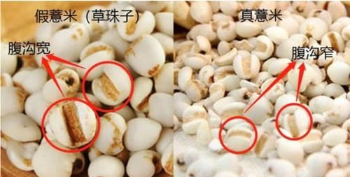薏米有苦味怎么回事