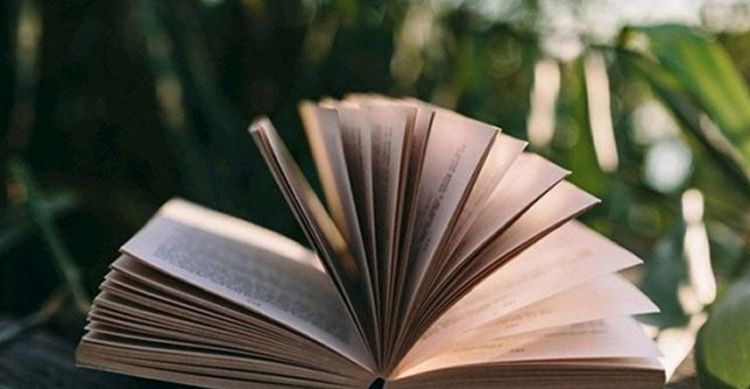 届时和这时有什么区别