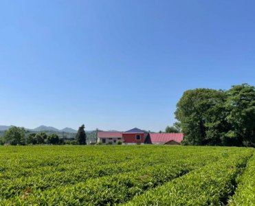 ​长沙休闲度假攻略（有处被遗忘的田园美景）