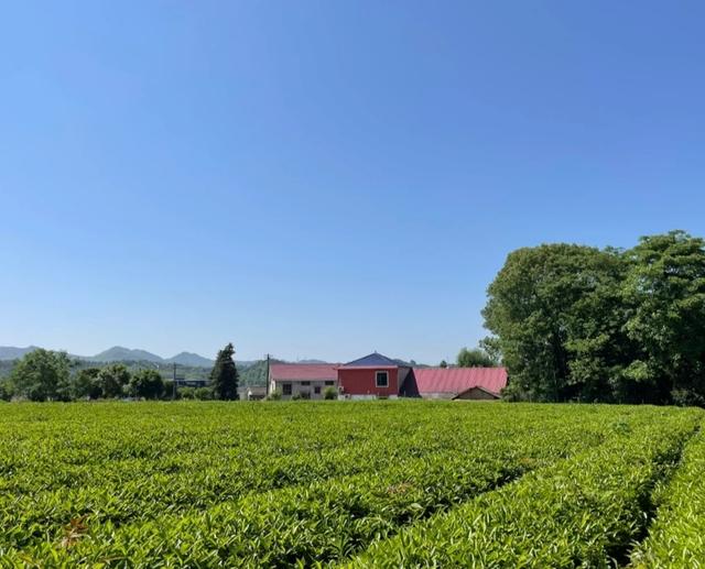 长沙休闲度假攻略（有处被遗忘的田园美景）(1)