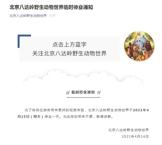 北京八达岭野生动物园可以开车进去吗（北京八达岭野生动物园又有人擅自下车）(1)