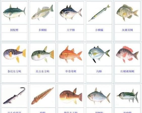 有什么海鱼可以在鱼塘养殖