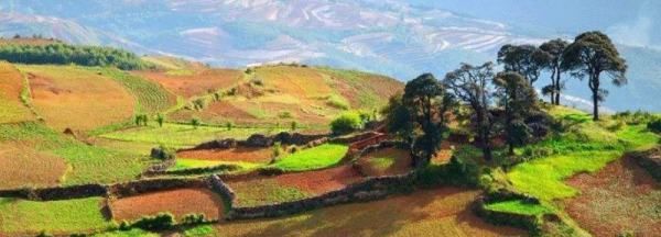 立夏的含义是什么意思,立夏表示什么 立夏有何含义呢图4