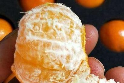 南丰蜜桔和沙糖桔的区别,蜜橘和沙糖桔的区别。为什么砂糖桔地头价2到4元。但北方零售却一块多一斤?图6