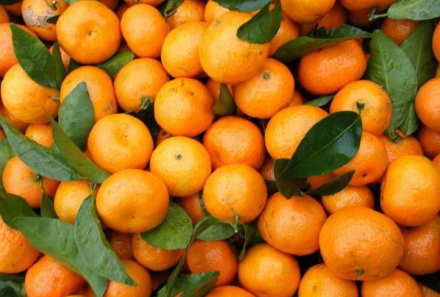 南丰蜜桔和沙糖桔的区别,蜜橘和沙糖桔的区别。为什么砂糖桔地头价2到4元。但北方零售却一块多一斤?图1