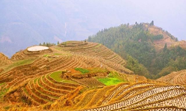 龙脊梯田在广西哪个县，广西桂林龙脊梯田离八角塞远么？图8