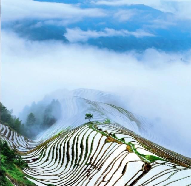 龙脊梯田在广西哪个县，广西桂林龙脊梯田离八角塞远么？图3