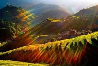 龙脊梯田在广西哪个县，广西桂林龙脊梯田离八角塞远么？图9