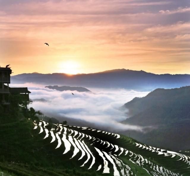 龙脊梯田在广西哪个县，广西桂林龙脊梯田离八角塞远么？图4