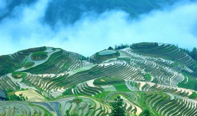 龙脊梯田在广西哪个县，广西桂林龙脊梯田离八角塞远么？图5