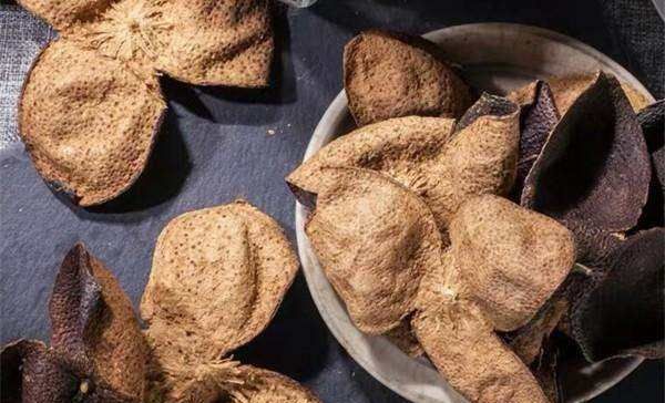 陈皮是用哪种桔子做的,正宗陈皮是用什么桔子的皮图片图7