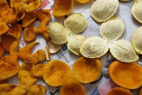 陈皮是用哪种桔子做的,正宗陈皮是用什么桔子的皮图片图3