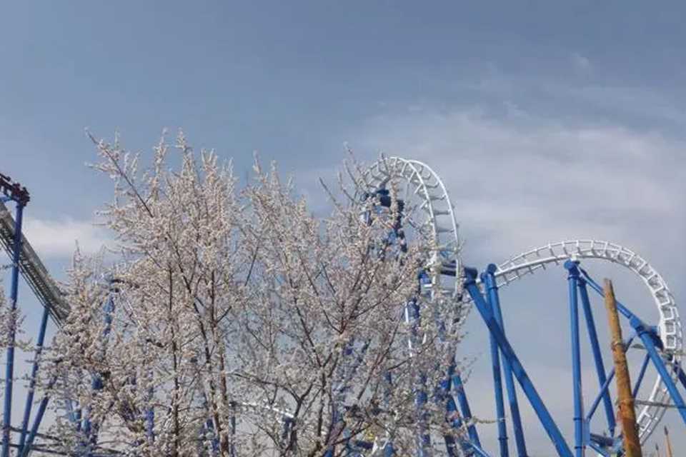 北京欢乐谷门票多少钱一张(北京欢乐谷门票包括成人票、儿童票、长者票、青少年票)