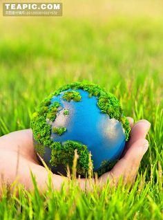 森林对人类和环境有哪些作用