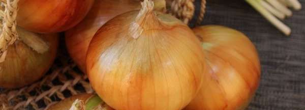 吃了洋葱怎么去味道,生吃洋葱后怎么去口里的味道了图2