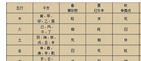 日支和时支是什么,日支或时支是什么意思图2