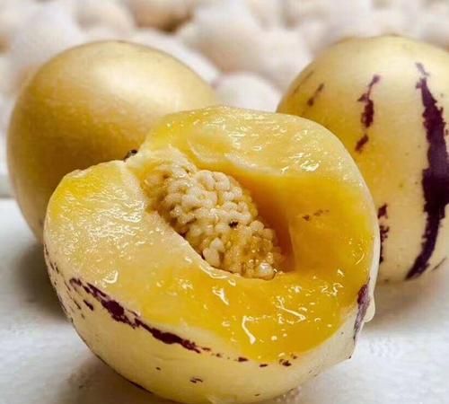 人生果怎么判断熟了