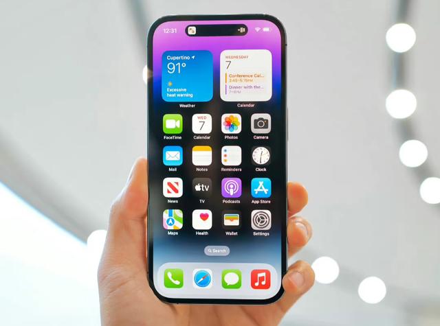 罗永浩谈苹果质量（一个灵动岛设计被吹上天）(2)