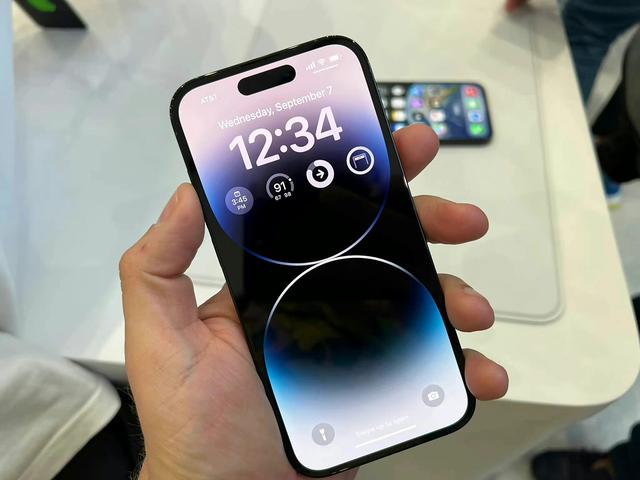 罗永浩谈苹果质量（一个灵动岛设计被吹上天）(6)