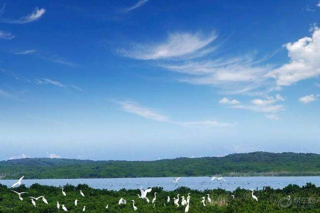 福建省云霄县简介（福建漳州云霄县----漳州文明的发祥地）(7)