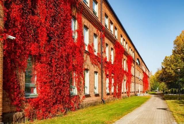 39所985高校排名（最强榜单39所985大学名单）(7)