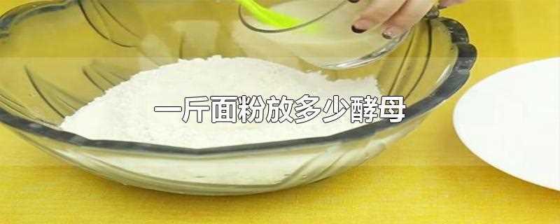 一斤面粉放多少酵母(一斤面粉放5)