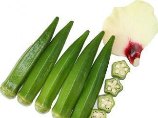 秋葵是什么样的