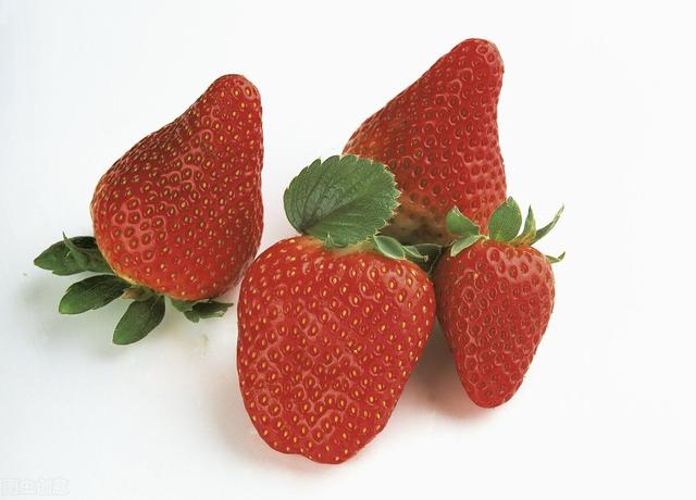 西安出现多例出血热患者是真的吗（西安出现多例出血热）(3)