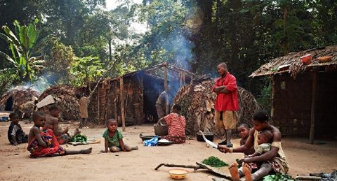 秋千节是哪个国家