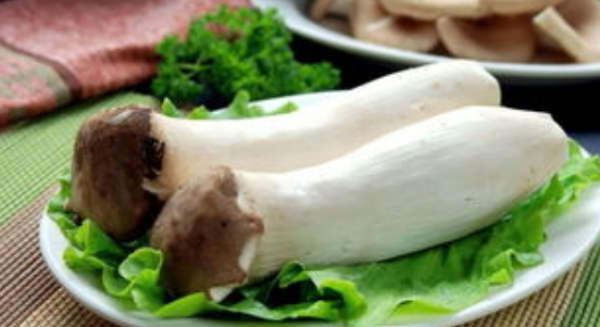 杏鲍菇放冰箱里长白毛毛还能吃,杏鲍菇放冰箱里长白毛毛还能吃吗图2