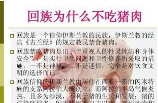 回民为什么不吃肉猪肉
