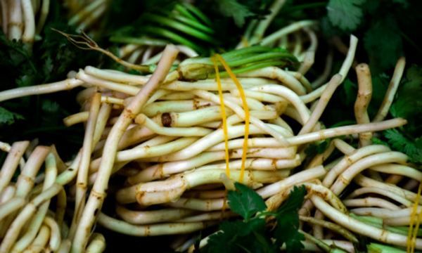 鱼腥草怎么做好吃,鱼腥草怎么吃好吃又简单图5