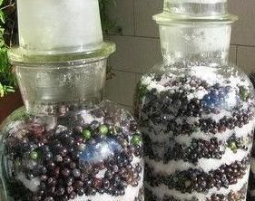 家庭自制红葡萄酒视频