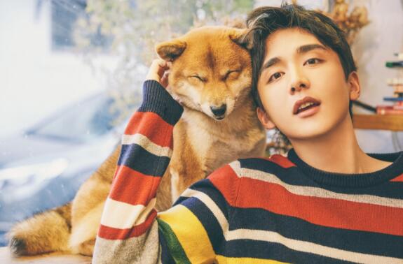 张新成为什么被称为本哥