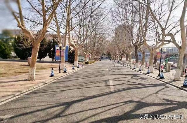 全国排名大连海洋大学（大连海洋大学我国北方地区唯一以海洋和水产学科为特色的高等院校）(9)