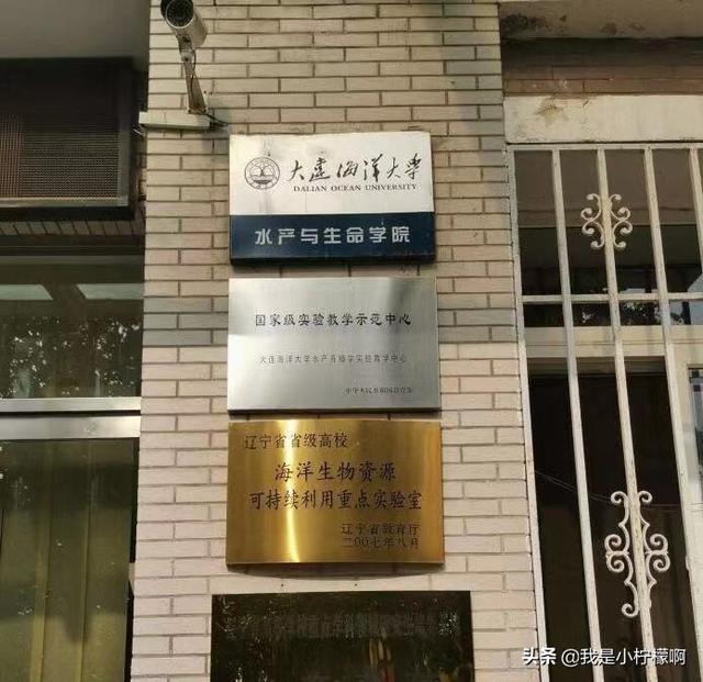 全国排名大连海洋大学（大连海洋大学我国北方地区唯一以海洋和水产学科为特色的高等院校）(3)