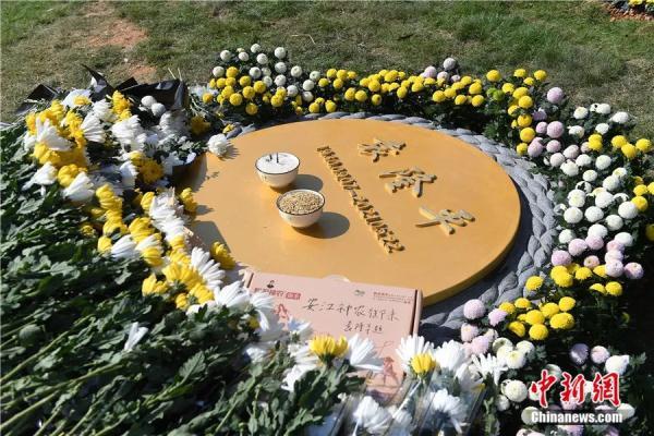 袁隆平葬礼过程（安葬仪式上循环播着袁隆平最爱的歌）(4)