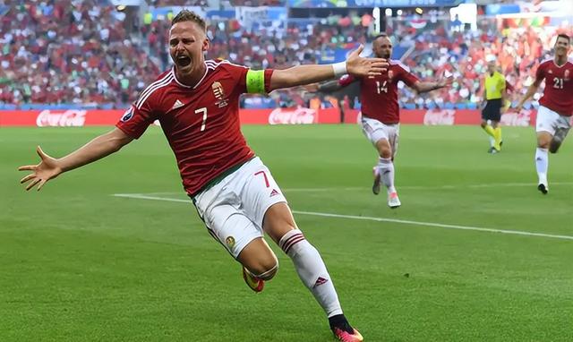 欧洲杯德国与匈牙利比赛结果（德意志战车志在榜首）(4)