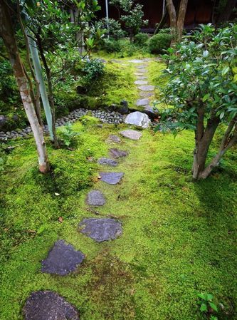 院子里青苔怎么清除 院子里青苔的解决方法视频