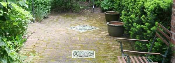 院子里长青苔怎么去除,院子里青苔怎么清除 院子里青苔的解决方法视频图2