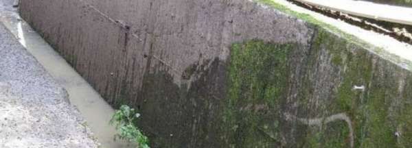 院子里长青苔怎么去除,院子里青苔怎么清除 院子里青苔的解决方法视频图4