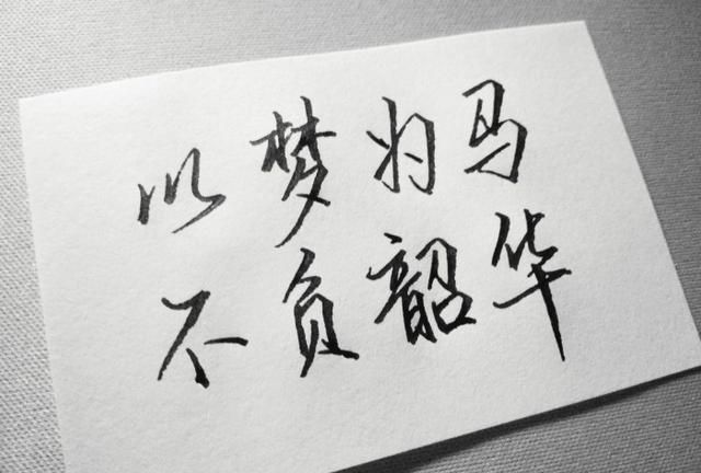 不负韶华是什么意思请解答