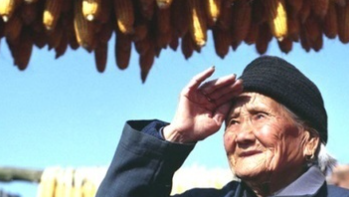 儿行千里母担忧下一句,儿行千里母担忧选自哪部京剧图1