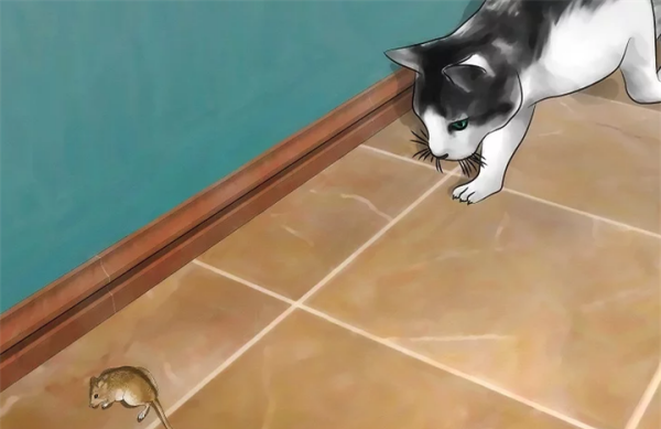 赶走老鼠什么方法最有效,有什么方法可以赶走家里的老鼠呢图6