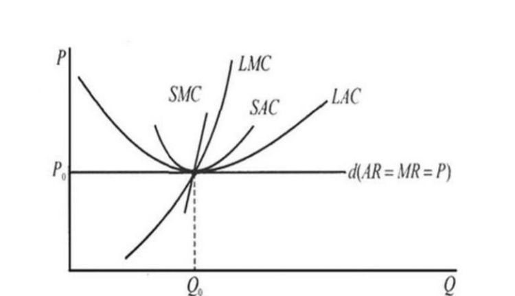 什么是完全竞争的市场结构