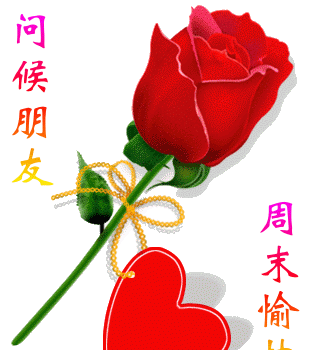 女生最想要的是什么，女人一生最幸福的追求是什么？图4